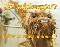 Április elseje, bolondok napja, játék, kígyó. Humorfalva Aprilis 1 Bolondok Napja Easy Facebook