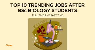 Best jobs with a biology degree. Jobs After B Sc Biology Students Full Time And Part Time