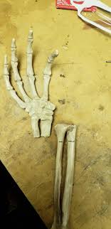 Model of the leg of achilles textured and ready for 3d printing. Project 3 Prepping The Long Bones Welcome To The Necro Nomnomnomicon