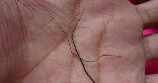 About press copyright contact us creators advertise developers terms privacy policy & safety how youtube works test new features press copyright contact us creators. Paranormal Minyak Jafaron Untuk Bulu Perindu Depok