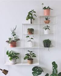 37 Diy Indoor Plant Display Ideas Diy Plants Decor Plant Decor Indoor Indoor Plant Wall