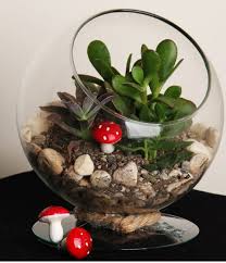 Image result for ‫تراریوم‬‎