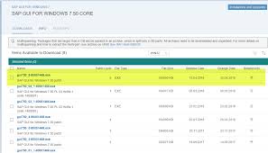 Please note that you need to have an oss user id and password to access the sap website. Sap Gui 7 50 For Windows Patch Level 5