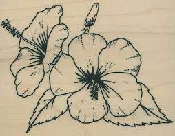 Pin By Lula On Tattoes Hibiscus Tattoo Flower Drawing Hibiscus Outline