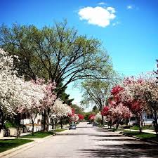 Maybe you would like to learn more about one of these? Simplify Your Mind Home Facebook