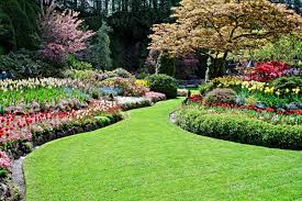 Our lawn care programs are custom designed to suit your lawn's needs. Maintenance Packages For Lawns Landscapes Promow Of Byron Center