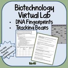 Biochemistry Basics Pogil Answer Key Pdf Biotechnology Internet Virtual Lab Biotechnology Dna Fingerprinting Nerd Jokes