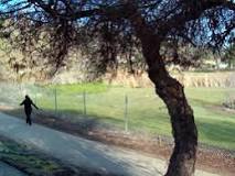 Image result for how many miles is the bonita golf course