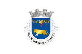 Ofertas de emprego em salvaterra de magos. Salvaterra De Magos Freguesia Flag Available To Buy Flagsok Com