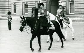 Queen elizabeth ii's 2021 birthday parade was her first celebrated without prince philip by her side. 20 Beautiful Horses Among 31 Incredible Gifts Given To The Queen Horse Hound