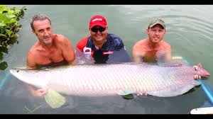 Gillhams Fishing Resort Krabi Thailand The Fishing Website Discussion Forums