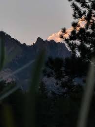 Wild rainbow trout spawn in the spring, but fish culturists have developed fall spawning races of the species, allowing fish hatcheries to raise young fish wild rainbow trout are currently classified as may be at risk in the 2005 general status of alberta wild species report, whereas introduced stocks. Rainbow Falls Mountain Trout Rec Area 14918 Co 67 Sedalia Co 80135 Usa