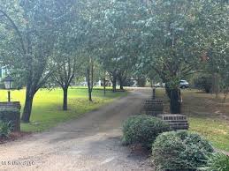 Image result for magnolia genia