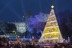 White House Christmas National Christmas Tree White House Christmas White House Christmas Tree