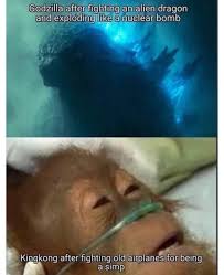 I'm talking about the people who silence those who argue that godzilla will win, in favor of saying kong will win because monke! and make the godzilla fans out to be the butthurt ones. Nuke Lizard Vs Monke A Mini Meme Dump Album On Imgur