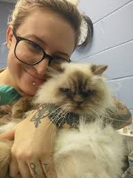 Humane Rescue Alliance