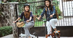 Giant bikes is builders and innovators, but they are also a global community of cyclists. 8 Best Folding Bike Malaysia Revies For Casual Riders In June 2021
