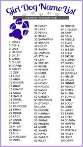 Top 10 Trendiest Dog Names Of The Year Girl Dog Names Dog Names Dogs Names List
