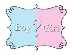 Browse a gerat selection of 252 or 500 piece jigsaw puzzles. Boy Or Girl Gender Reveal Shower Puzzles Children S Centre Facebook