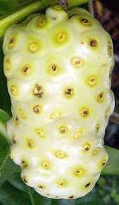 Pin On Yum Food