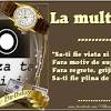 La multi ani adrian haioase. 1