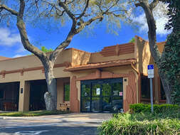 Get directions, reviews and information for mount dora theater company in mount dora, fl. All Categories Mount Dora Buzz