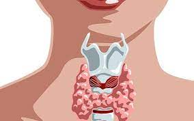 Nếu không điều trị sớm. Ung ThÆ° Tuyáº¿n Giap Thá»ƒ Nhu Co Biá»ƒu Hiá»‡n NhÆ° Tháº¿ Nao Hoibenh Com