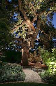 Pin On Garden Lighting Ideas