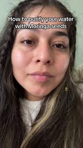 Lets talk about moringa seeds #moringa #water #holistic