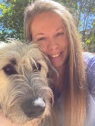 Steel City Emergency Vets...