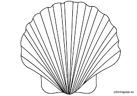 Colouring pages available are sea shell colouring, seashell coloring for kids, seashell coloring for. Shell 163149 Nature Printable Coloring Pages
