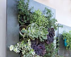 Each wall garden can look completely different, depending on your own inspiration. Best Succulent Wall Planters And Inspiration Good Succulents