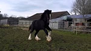 Looking for a strong construction superintendent who has experience working on commercial or residential projects. Job Supervisor For Construction Job Responsibilities Jobs Ecityworks