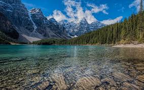 You will definitely choose from a huge number of pictures that option that will suit you exactly! 4k Nature Wallpapers On Wallpaperdog