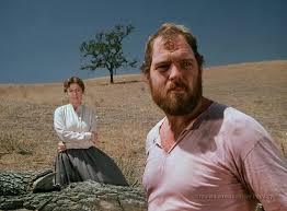 Epingle Par Fan De Celine Dion Boullard Sur La Petite Maison Dans La Prairie Petite Maison Prairie