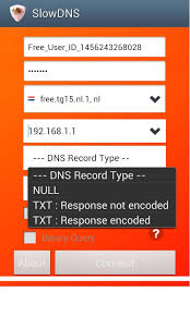 Vpn Over Dns Tunnel Slowdns For Android Apk Download