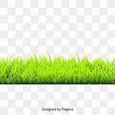 Grass Png Images Vector And Psd Files Free Download On Pngtree Grass Flower Green Grass Background Grass Clipart