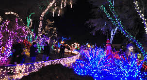 I hope you guys check it. Christmas Cacti In Las Vegas Shardsofblue Las Vegas Christmas Christmas Events Christmas In La