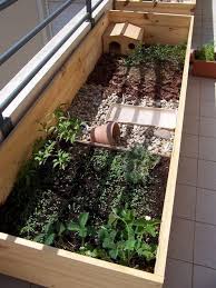 les enclos pour bebes et juveniles terrarium tortue tortue hermann enclos tortue