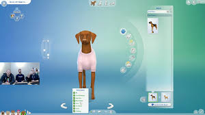 Do the dogs in the adoption pool change over time, if so how often? The Sims 4 Cats Dogs Create A Pet Live Stream Info Q A Simsvip
