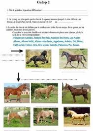 Blog De Quizz Galops Cepissos Skyrock Com Galop 2 Galop Ethologie Cheval