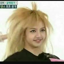 Lisa Meme Appreciation