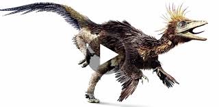 We did not find results for: The Algorithms That Power The Hyper Real Creatures Of Walking With Dinosaurs Wired
