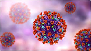 First found in india, the who has classified it as a. Explained Why Delta Plus May Trigger The Dreaded Covid Third Wave The Federal
