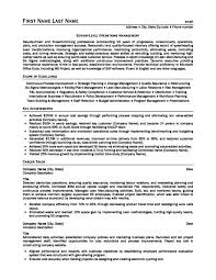 management consultant resume template