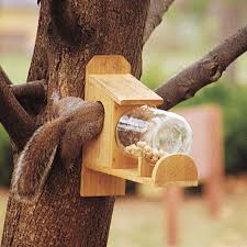 Glue sequins or glitter and paint as. 14 Diy Squirrel Feeder Ideas To Feed Furry Friends In Wintertime Garden And Happy