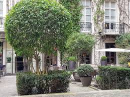 Anne Au Pavillon De La Reine Paris 3 Cocon Douillet Et Belle Cuisine Restos Sur Le Grill Blog Critique Des Restaurants De Paris Independant