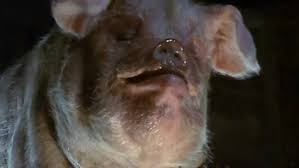 Animal Farm 1999 1 6 Video Dailymotion