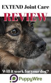 Joint supplements for dogs reduce pain and stiffness and help your elderly pooch get back to his old foster and smith level 2 joint care soft chews for dogs. Extend Joint Care For Dogs Review Will It Work For Your Dog Dog Joint Supplement Joint Care Dog Care