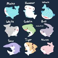 Chibi Sharks Cute Animal Drawings Cute Art Animal Drawings